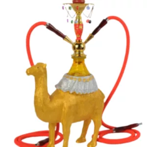 Golden camel rider hookah with red hose and brass base on white background - SSG055.