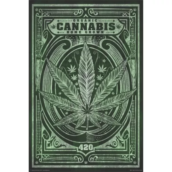 Green and black minimalist poster with stylized Cannabis and large green leaf with white stem and brown veins, surrounded by black border with vine pattern, promoting use of cannabis.
